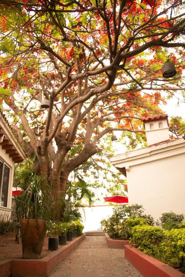 Hotel Casa Maria Emilia Cuernavaca Esterno foto